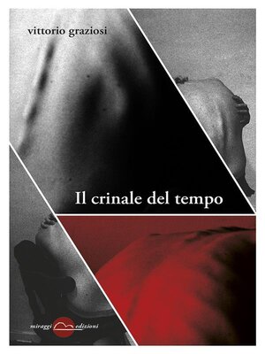 cover image of Il crinale del tempo